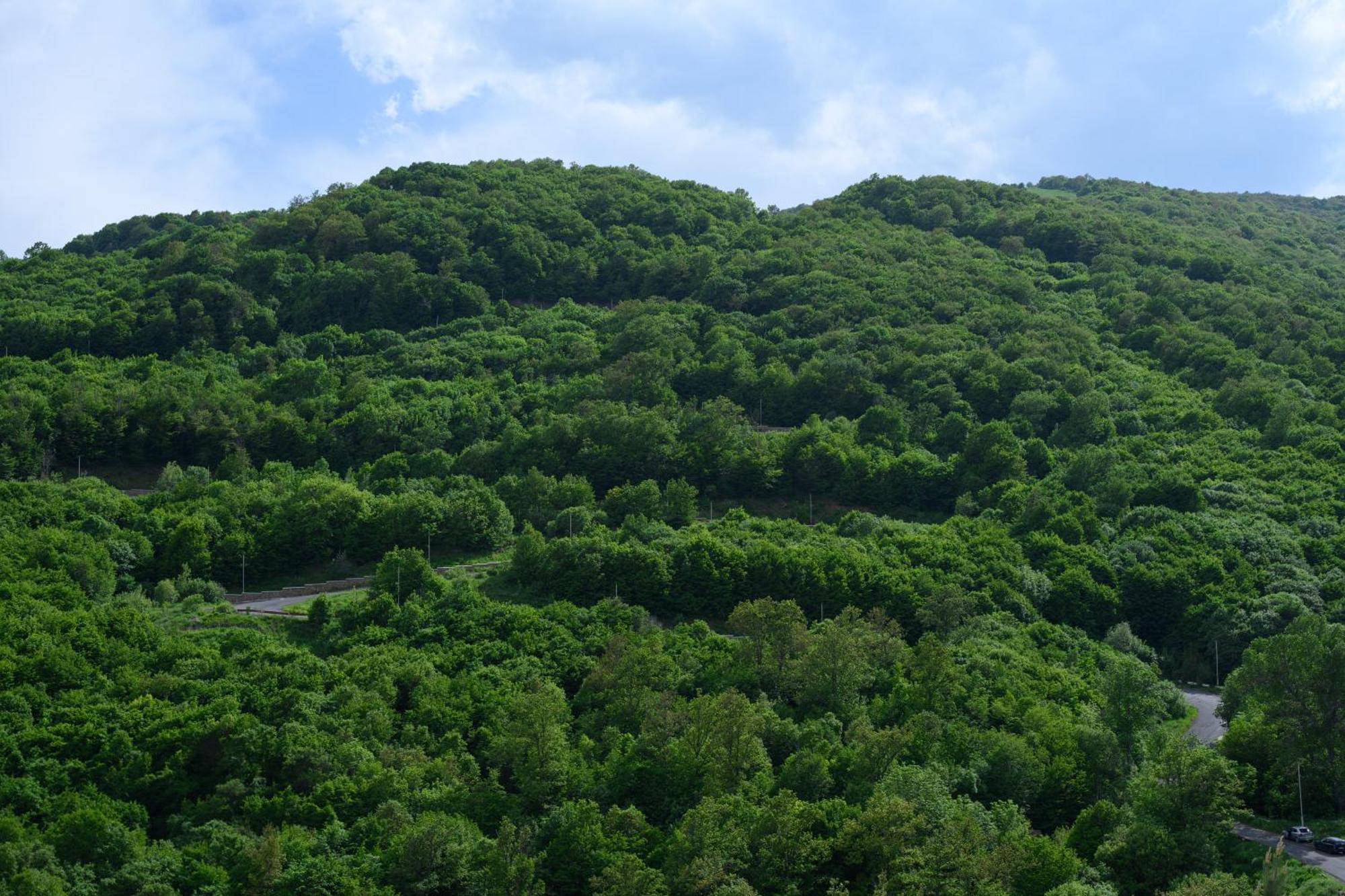 Aurora Resort, Hotel Tsaghkadzor